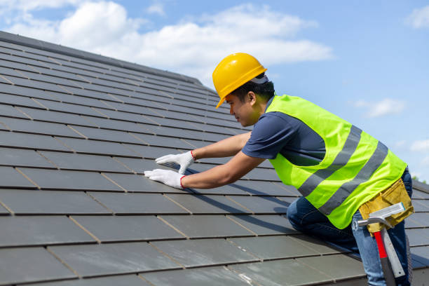 Best Metal Roofing Contractor  in Horseshoe Bend, AR