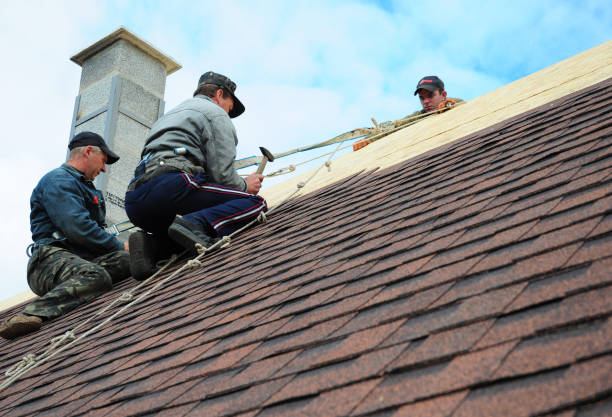 Best Metal Roofing Contractor  in Horseshoe Bend, AR